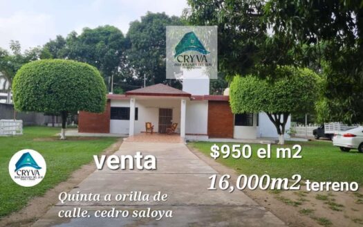 En venta QUINTA DE 16,000 m2 en Cedro Saloya