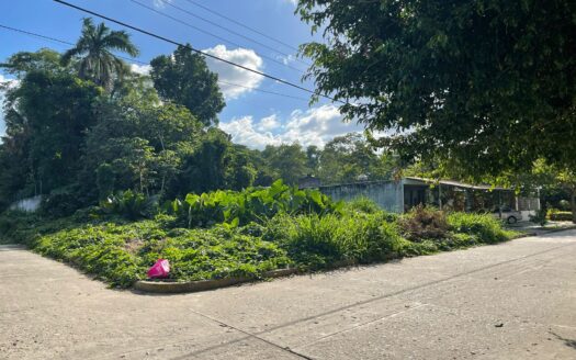TERRENO EN LOS REYES LOMA ALTA, CARDENAS, TABASCO