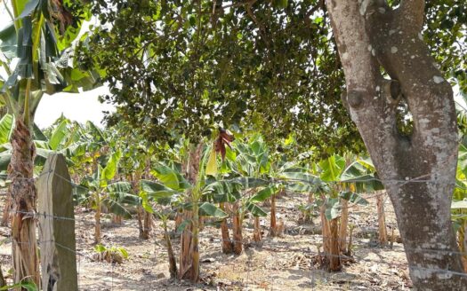 RANCHO EN VENTA CUNDUACAN TABASCO