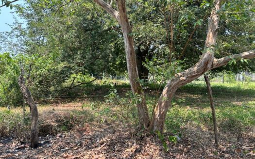 TERRENO VENTA LA PALMA POR AEROPUERTO VILLAHERMOSA