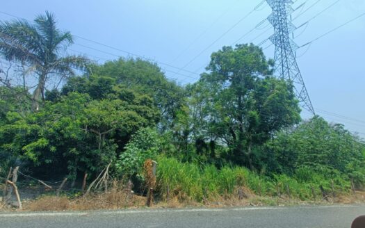 TERRENO EN VENTA EN RANCHERIA ACACHAPAN Y COLMENA 1ERA SECCION