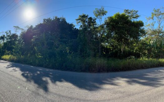 SE VENDE TERRENO EN RANCHERIA ORIENTE 3ERA SECCION CARRETERA VECINAL, COMALCALCO TABASCO