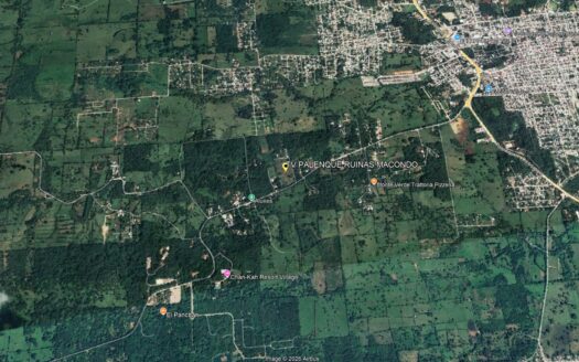 TERRENO EN VENTA EN PALENQUE