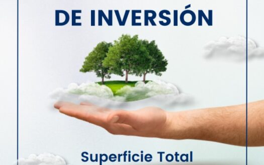 OPORTUNIDAD DE INVERTIR EN EL CENTRO DE VILLAHERMOSA