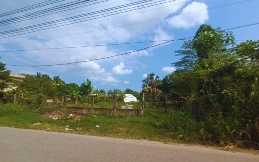TERRENO EN VENTA Y RENTA EN FLOR DEL TROPICO