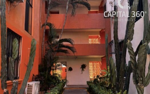 Departamento amueblado en Renta