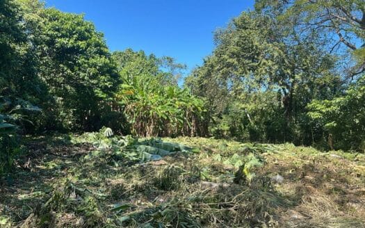 TERRENO EN VENTA, EN LA COLONIA EL LIMON, PARAISO TABASCO