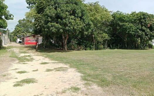 Terreno La Lima
