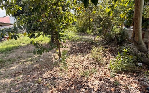 Terreno Buenavista