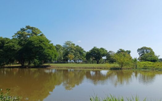 RANCHO EN VENTA- MACUSPANA, TABASCO
