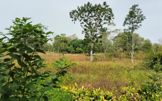 Terreno en venta Lomitas