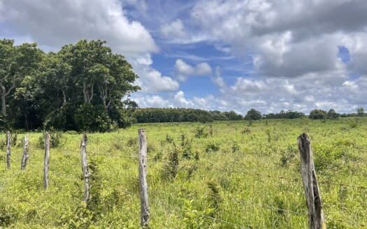RANCHO EN VENTA EN EL NARANJO CAMPECHE