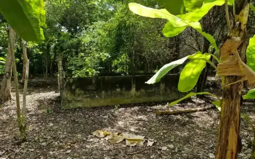 Terreno en venta Buenavista 3ra Sección