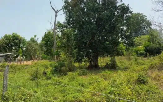 Terreno en venta Saloya 1ra