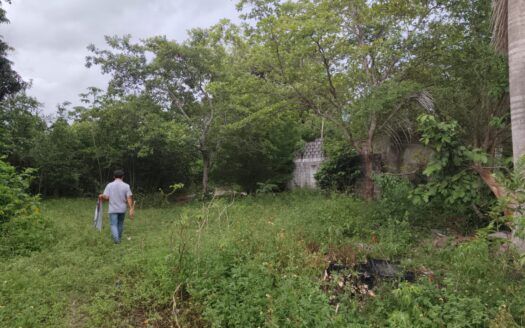 TERRENO EN VENTA – LA CEIBA, CUNDUACÁN, TABASCO