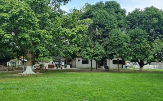 En venta QUINTA DE 16,000 m2 en Cedro Saloya