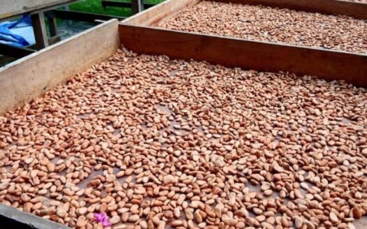 Hacienda Cacaotera en venta en Comalcalco, Tabasco